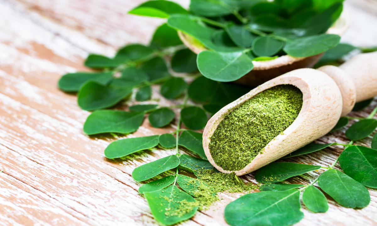 Moringa Oleifera Propriet Farmacologiche Dell Albero Della Vita